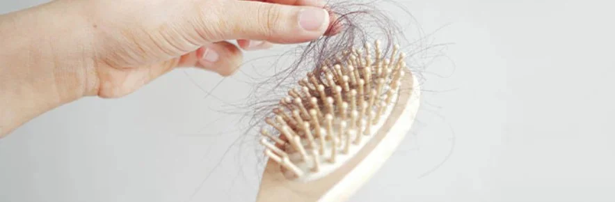 comment nettoyer ses brosses à cheveux comment nettoyer ses brosses à cheveux