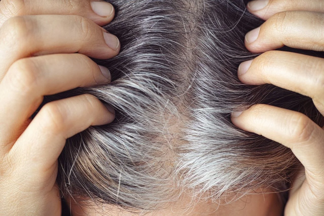 quelle est la meilleure couleur pour couvrir les cheveux blancs